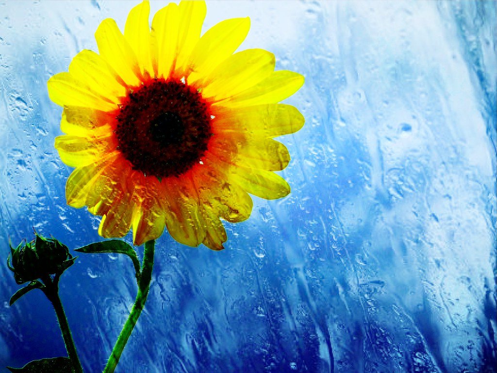 Let us seep within the within of life